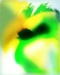 Unemotional Convention